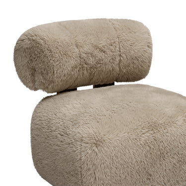 #fabric-color_fur
